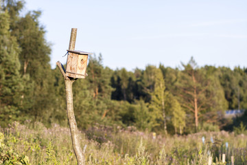 Man made birdhouse at sunset
