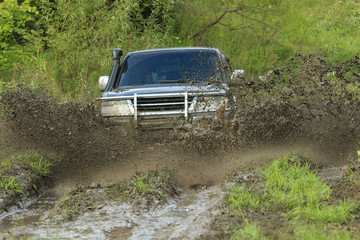 Obraz na płótnie Canvas Mitsubishi and a lot of mud