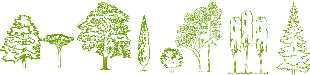 Silhouettes of trees of different breeds vector
