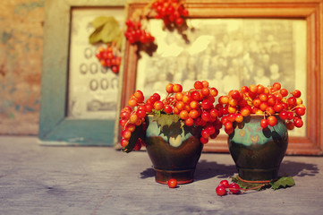 Bouquet from guelder-rose berries in a vase and old photos on a wooden background.