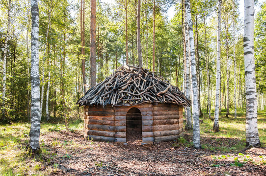 Timber made hut in birch forest
