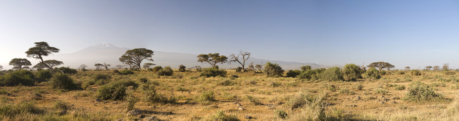 Obraz premium Amboseli National Park, Kenya