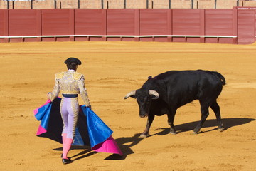 Bullfight