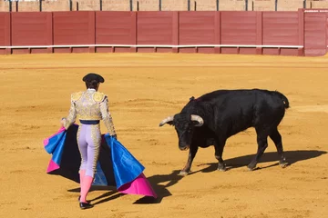 Fotobehang Bullfight © vdvtut