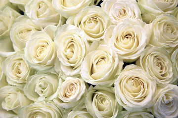 Fototapeta na wymiar White roses. Floral Texture and background. Flowers closeup. Wedding and wedding accessory. The rose petals. Large bouquet.