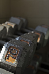 Naklejka premium Dumbbell Weights