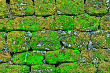 Texture of rock wall overgrown with moss