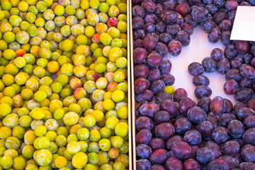 Yellow and red plums for sale at a market