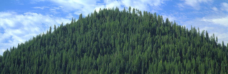 Pyramid of Pines, Smith Ferry, Idaho