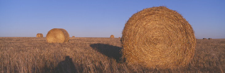 Hay Bails, Highway 29, South Dakota
