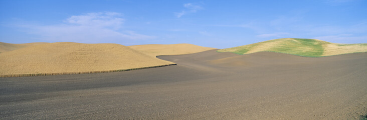 Wheat Fields, S.E. Washington
