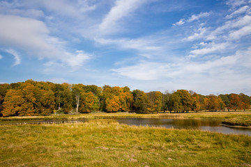 Fototapeta premium beautiful lake in Dyrehave park, Denmark