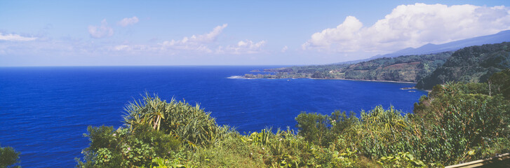 Fototapeta na wymiar Ocean view from the road to Hana, Maui, Hawaii