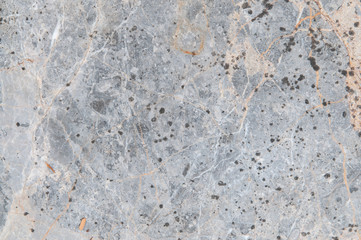 branch on stone floor