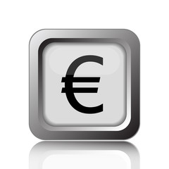 Euro icon