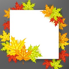 Obraz premium Autumn leafs background with paper sign