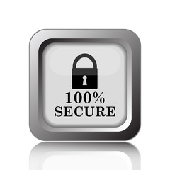 100 percent secure icon