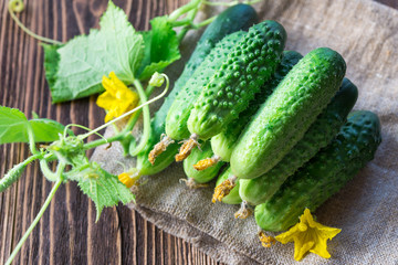 cucumbers on the wooden background
