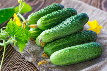 cucumbers on the wooden background
