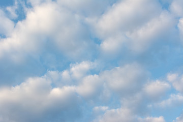 Fototapeta premium cloud over the sky