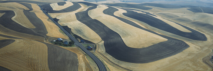 Wheat Fields and Contour Farming, S.E. Washington