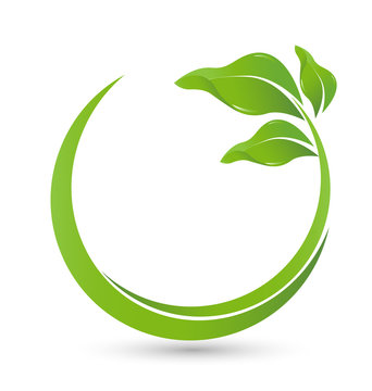 Green healthy leafs logo vector