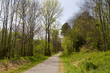 Obraz premium A hiking trail through a wooded natural area. 