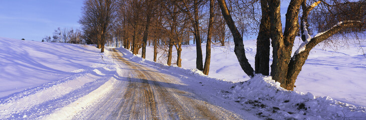 This is a snowy road at sunrise. It shows Winter in New England with snow in the trees and tire tracks through the snow on the road. The road is lined on either side with trees.