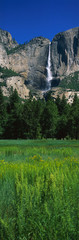 This is the Bridal Veil Falls in spring. There is a spring meadow in the foreground with small flowers blooming.
