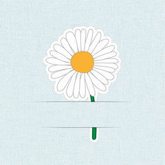 Flower Card Daisy