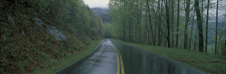 This is a rain soaked road showing bad weather. It is called the Foothill Parkway and is surrounded by green trees. It heads off into a curve toward the right.