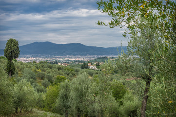 Tuscan landscape