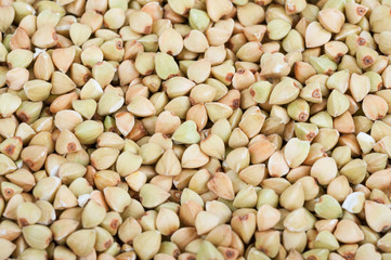 Green buckwheat. Macro