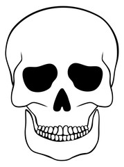 Abstract skull isolated on white