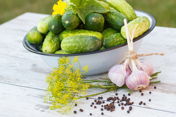 Cucumbers in metal bowl and spices for pickling cucumbers in garden on sunny day