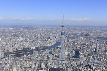 Naklejka premium スカイツリー／空撮