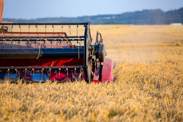 Fototapeta premium Combine working on barley field