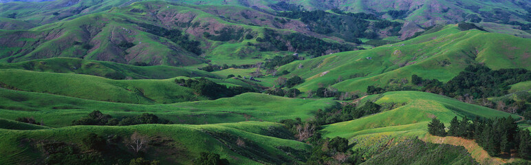 This is Green Valley Road along Route 46 in the spring. The hills are green from the winter rains.
