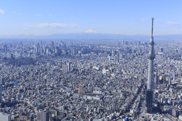 スカイツリー／空撮