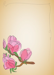 Magnolia, page design, vector