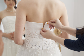 Bride is asked to dress the wedding dress for women - obrazy, fototapety, plakaty