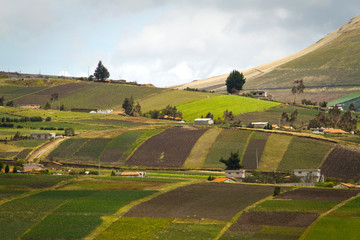 Beautiful crop field plantations in Oyacachi, Ecuador
