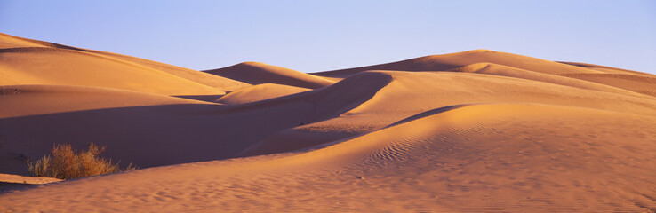 Fototapeta na wymiar This is Great Sand Dunes National Park at sunrise.