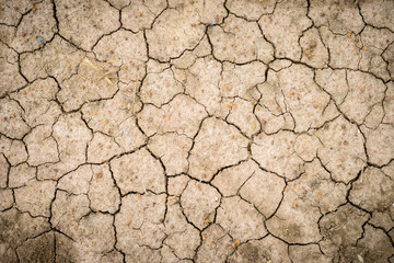 cracked ground for background
