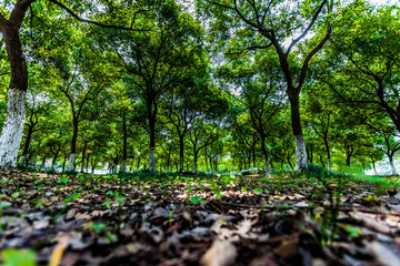 brücken Park in Jiangyin china