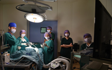 group of veterinarian surgery in operation room