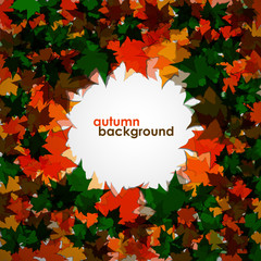 Autumn background of maple leaves. Colofrul vector image. Eps 10
