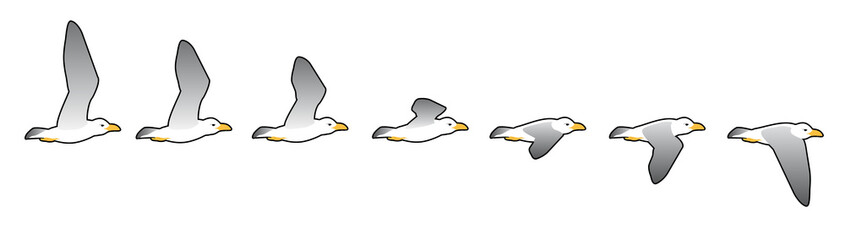 Seagull, illustration for animation, frames, vector