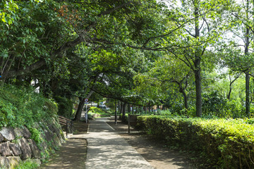 洗足池公園