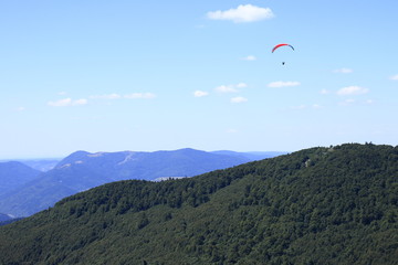 Fototapeta na wymiar Cerf-volant des Vosges